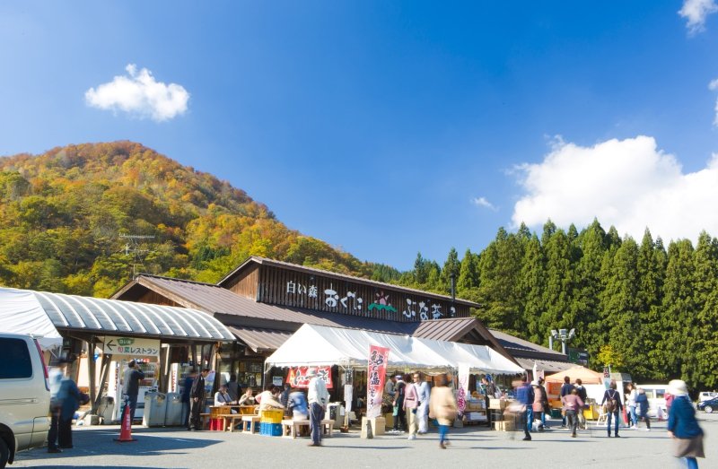 山形県の道の駅「道の駅「白い森おぐに」」