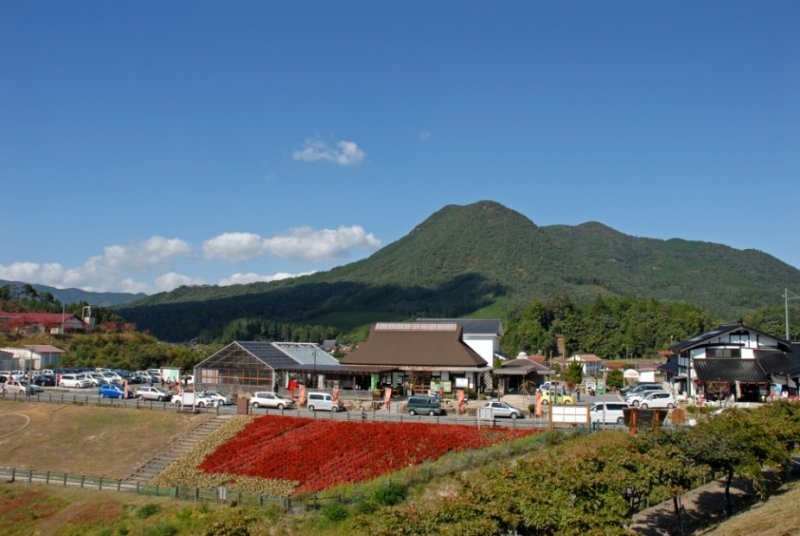 広島県の道の駅「道の駅豊平どんぐり村」