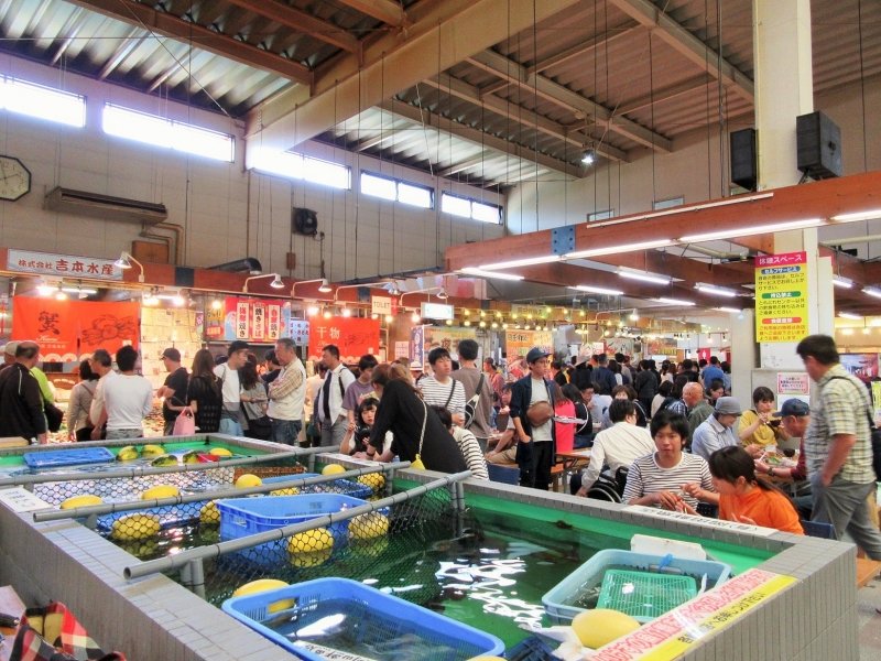 京都府の道の駅「道の駅 舞鶴港とれとれセンター」