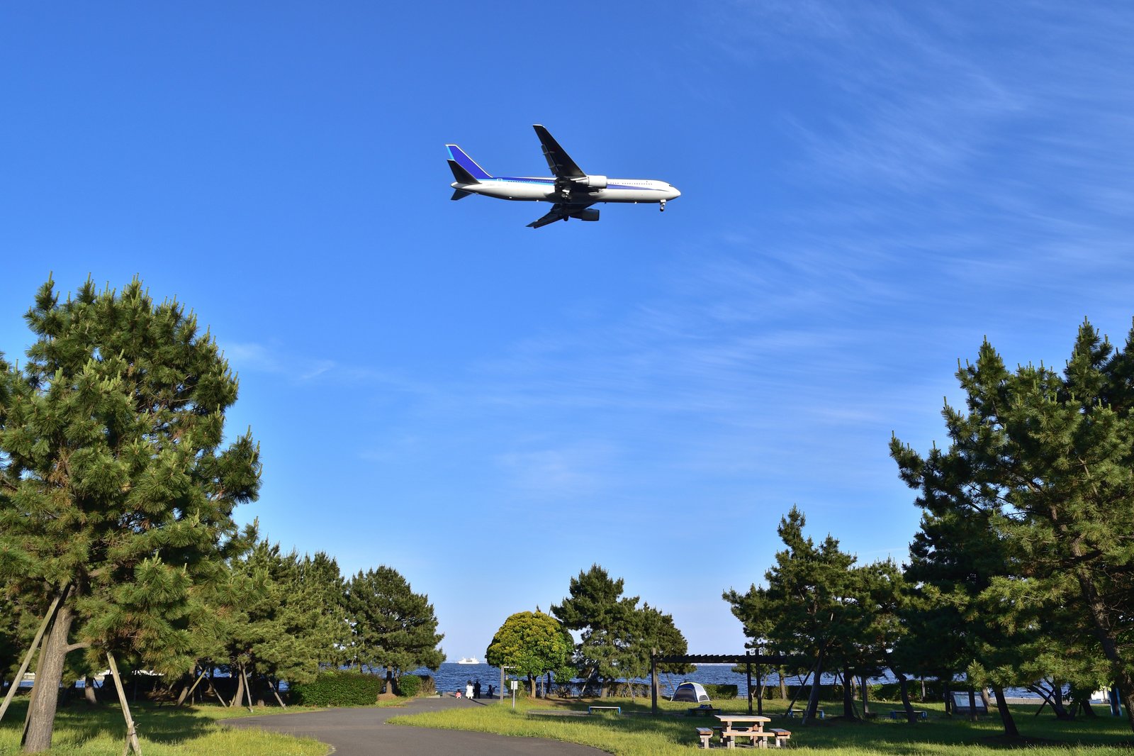 東京都のオートキャンプ場「城南島海浜公園 第一キャンプ場」